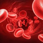 تحليل وفحوصات الانيميا بمعامل الدكتور محمد خضر بكفر الشيخ