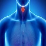 تحليل وفحوصات الغدة الدرقية بمعامل الدكتور محمد خضر بكفر الشيخ