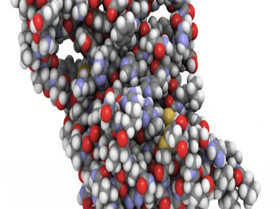 تحليل وفحوصات هرمون النمو بمعامل الدكتور محمد خضر بكفر الشيخ