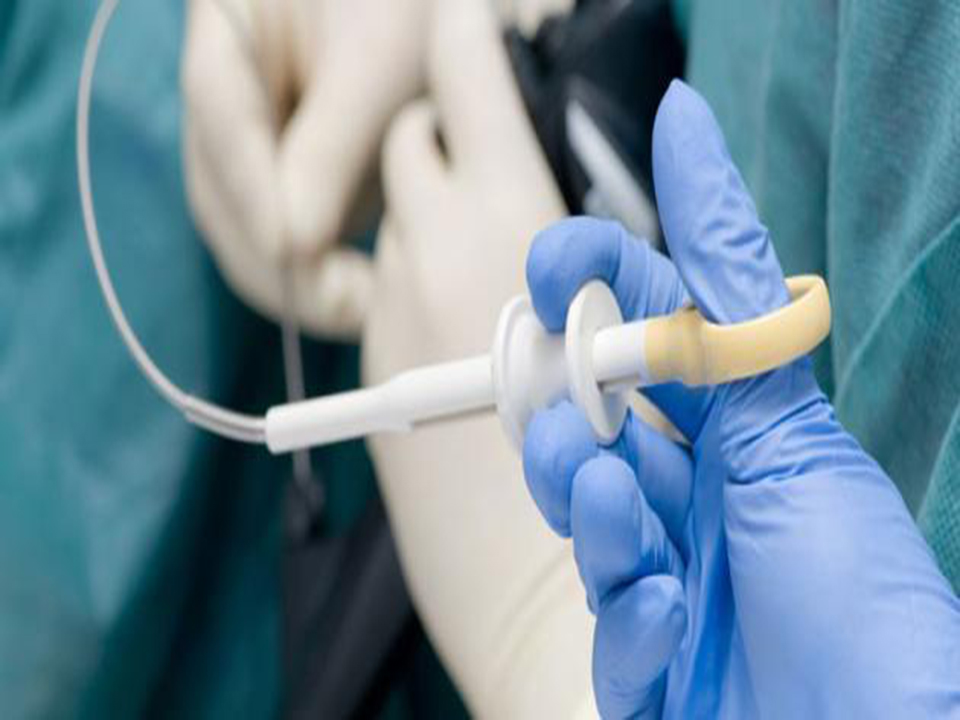 تحليل وفحوصات وظائف الأعضاء بمعامل الدكتور محمد خضر بكفر الشيخ